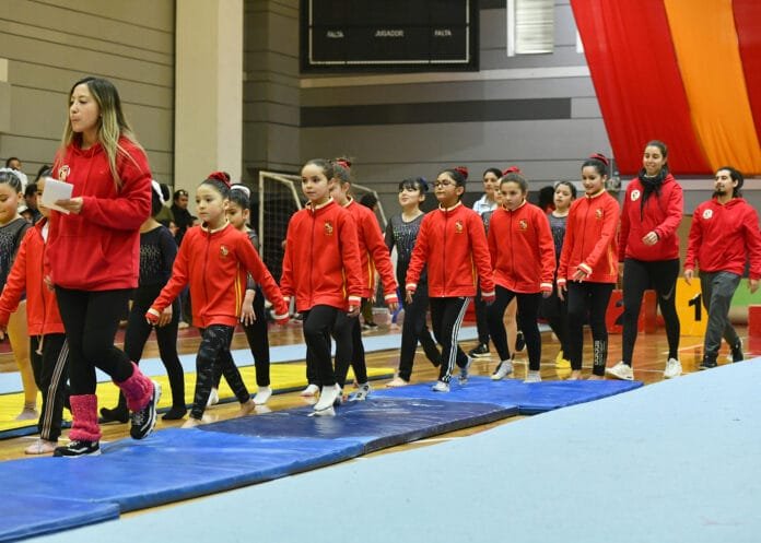 Gimnasia Artística