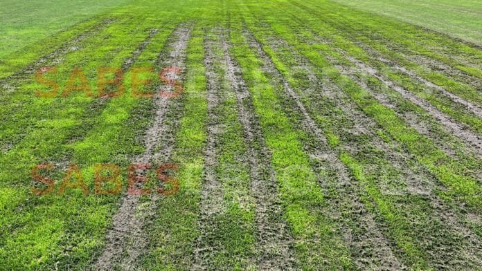 La cancha del Ester Roa luce destrozada